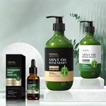 Organic Rosemary Hair Care Cream Moisturizing Mint Shampoo Conditioner with Essential Oil Argan Oil Herbal Formula for Home Use